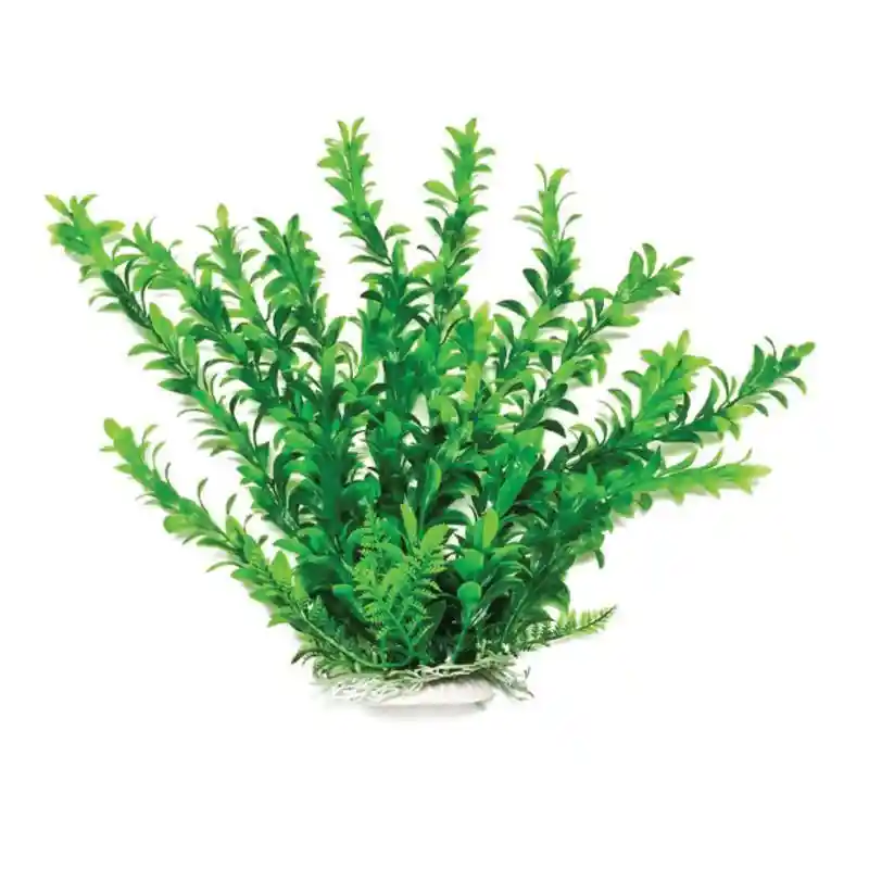 Plant Hygro Green 20"