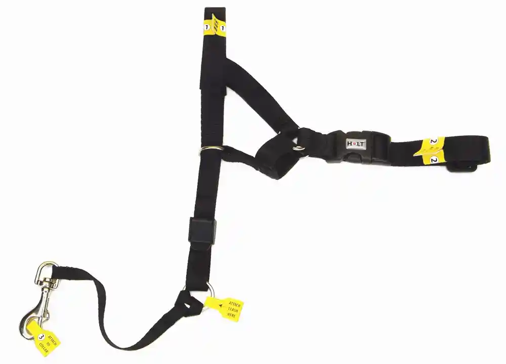 Dog Head Halter, Black, Med (2)