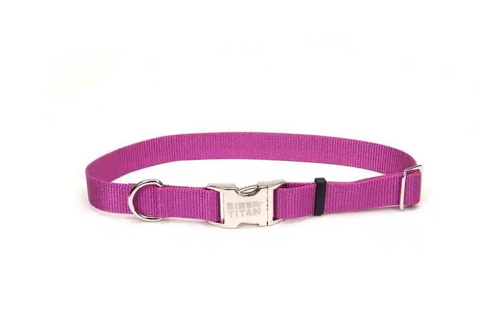 Adjustable Dog Collar With Metal Buckle, Orchid, 1" X 18" - 26"