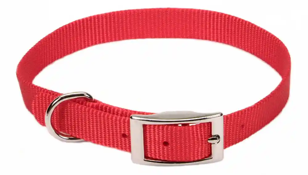 Single-ply Dog Collar, Red, 5/8" X 16"