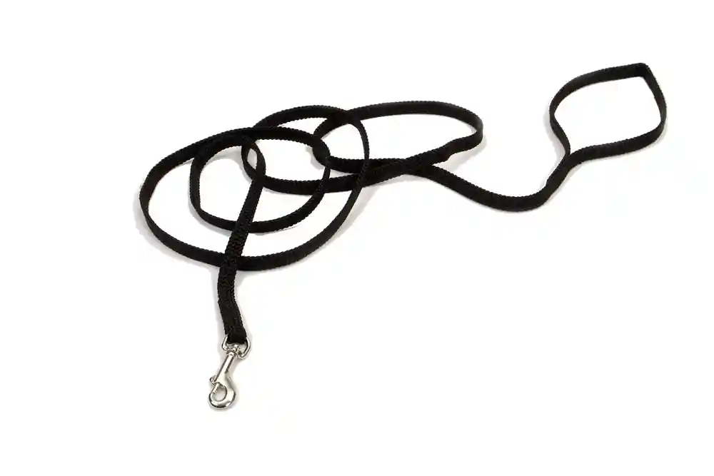 Dog Leash, Black, 3/8" X 06'