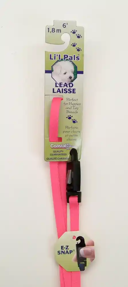 Dog Leash With E-z Snap, Neon Pink, 3/8" X 06'