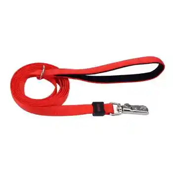 Leash, Red, 1" X 06'