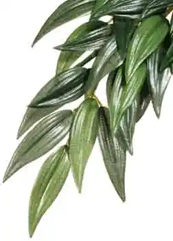 Exo-terra Silk Ruscus Small