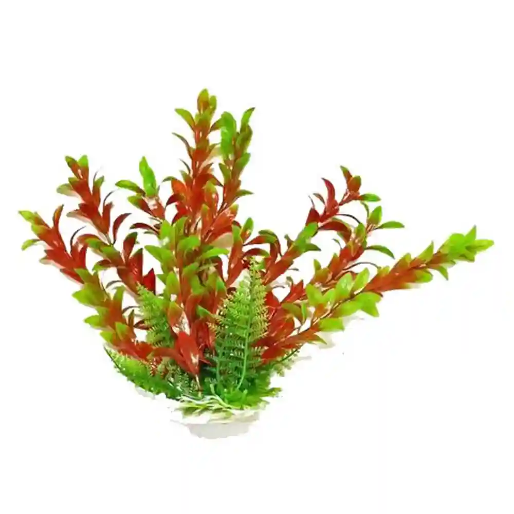 Plant Hygro Green/red 9"