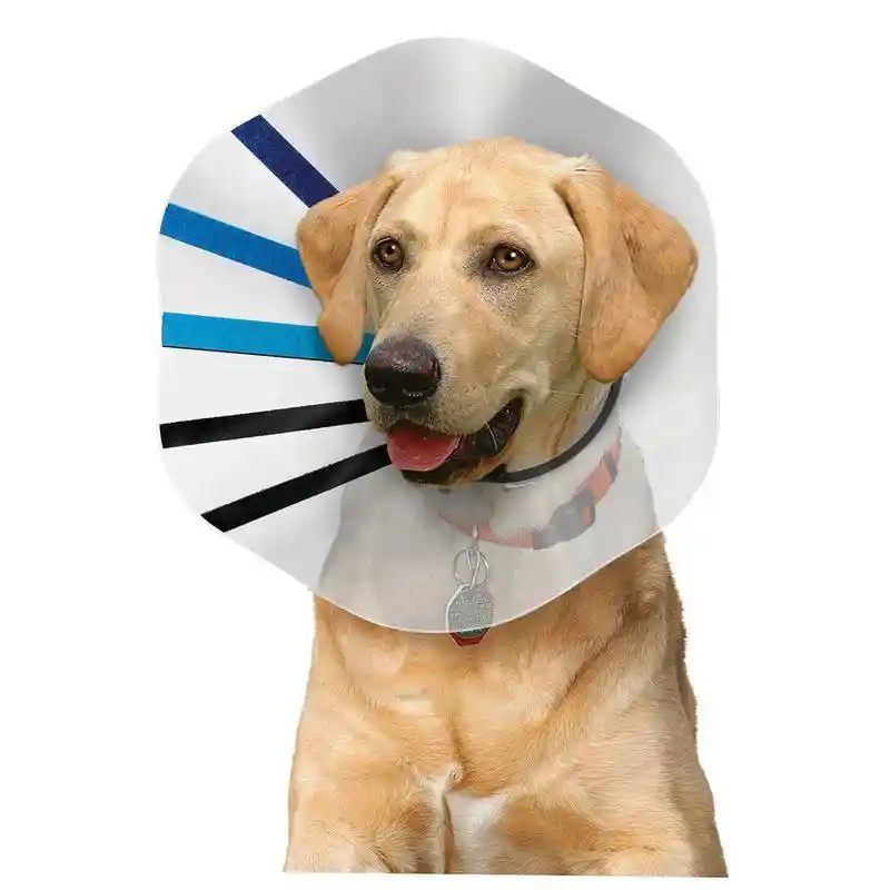 Kong E-collar Medium