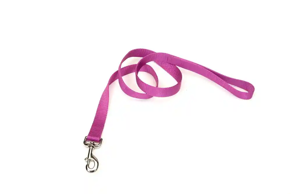 Single-ply Dog Leash, Orchid, 5/8" X 4'