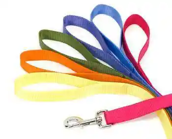 Single-ply Dog Leash, Blue Lagoon, 3/4" X 6'