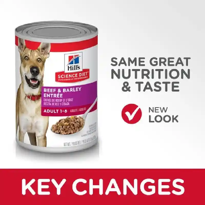 Science Diet Advanced Fitness Gourmet Beef Dog Food 13Oz