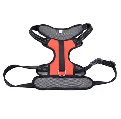 Reflective Control Handle Harness, Red, Girth: 20"-30" X Neck: 12"-18"