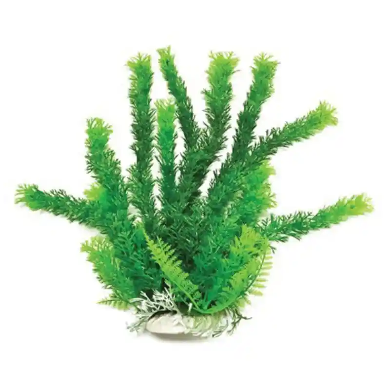 Plant Cabomba Green 12"