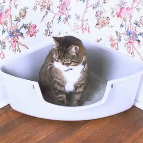 Corner Litter Tub
