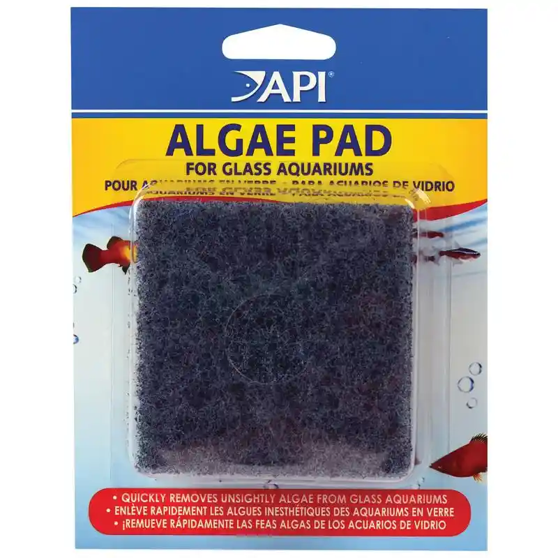 Algae Scraper Pad
