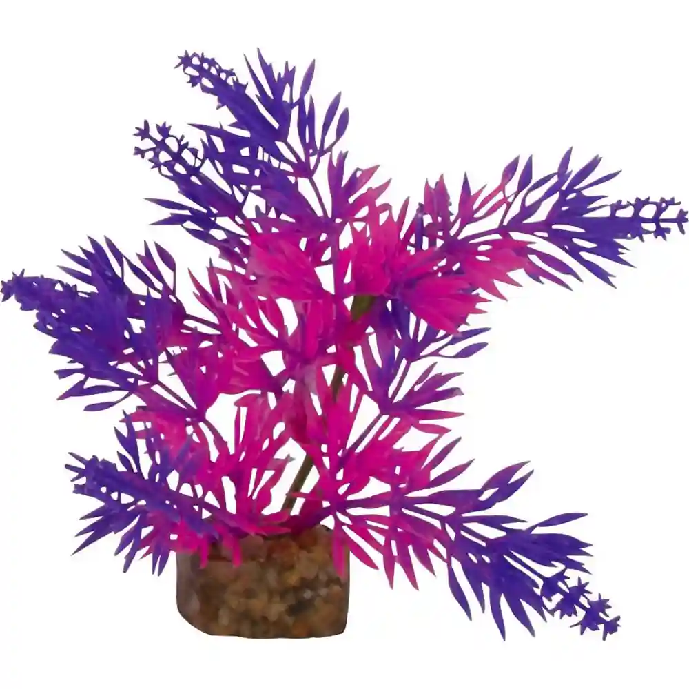 Tet Plnt Glofish Flo Pr/pk Sm;