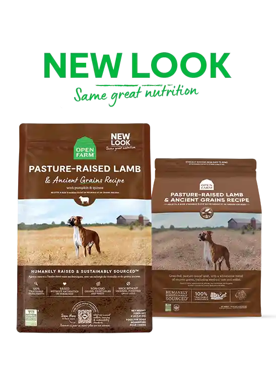 Open Farm Dog Dry Pasture Raised Lamb Ancient Grain 22-lb