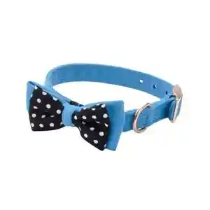 Microfiber Collar, Boho Blue With Polka Dot Bow, 5/8" X 16"