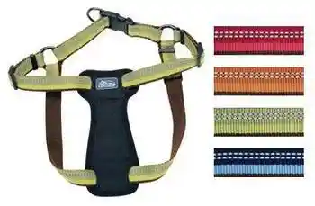 K9 Explorer Nylon Harness 1"x38"-campfire Orange