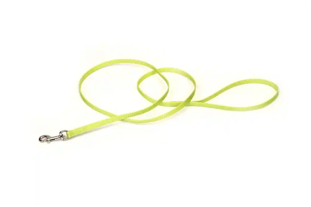 Single-ply Dog Leash, Lime, 3/8" X 6'