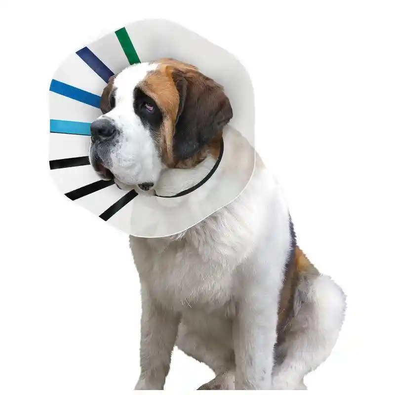 E-collar Smallall-
