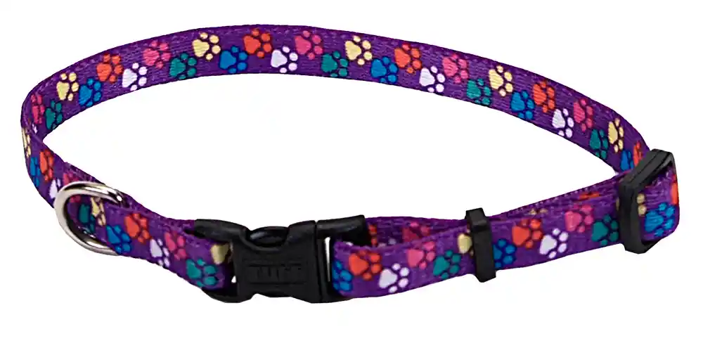 Adjustable Dog Collar, Special Paws, 3/8" X 08"-12"