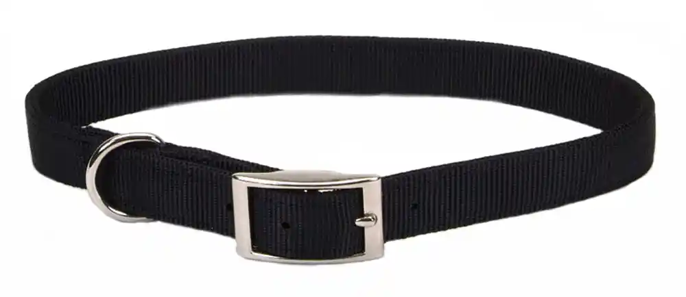 Single-ply Dog Collar, Black, 5/8" X 16"