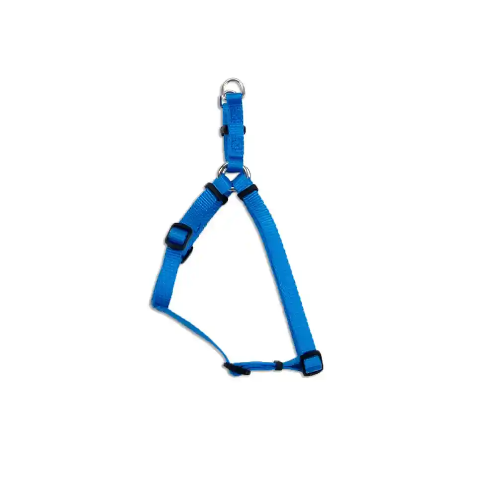Adjustable Dog Harness, Blue Lagoon, 3/8" X 12"-18"