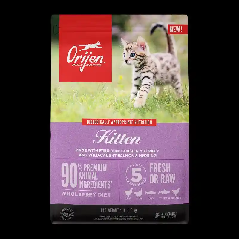 Ori Kitten 4#