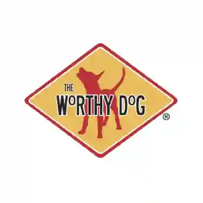 Image Alternative Text