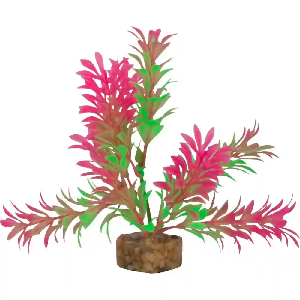 Tet Plnt Glofish Flo Gn/pk Sm;