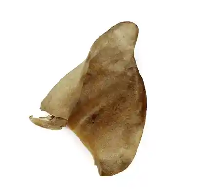 Raw Bar Freeze-dried Pig Ear Treat For Dogs 1 Pig Ear