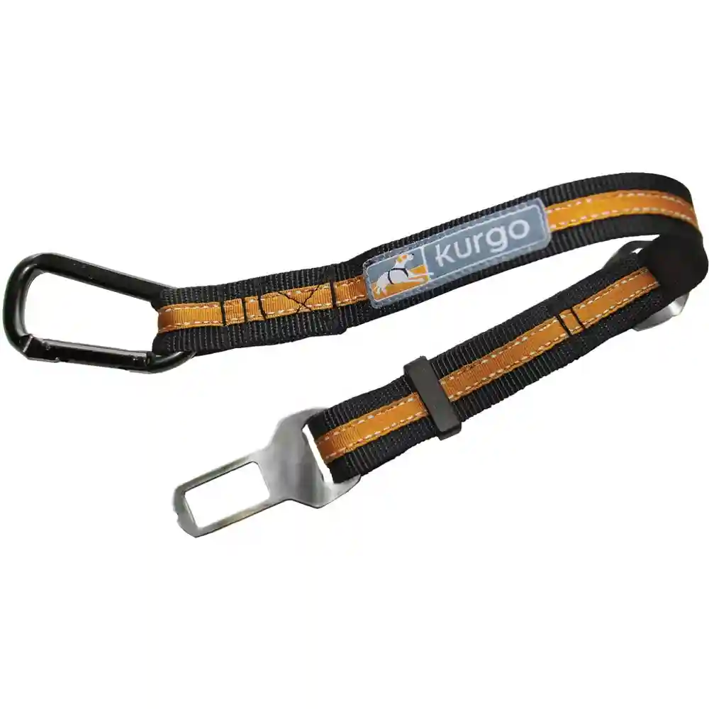 Direct to Seatbelt Tether;