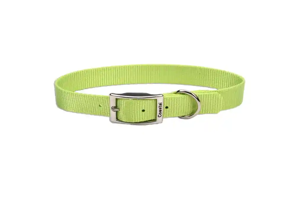 Single-ply Dog Collar, Lime, 1" X 18"