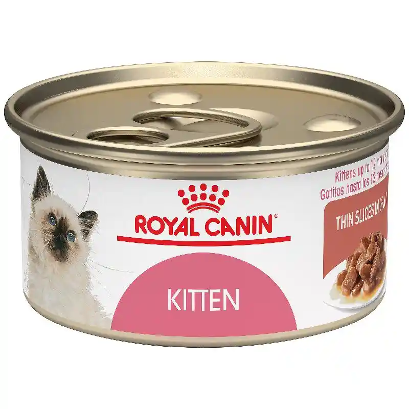 Royal Canin Feline Kitten Thin Slices In Gravy Canned Cat Food, 3 oz