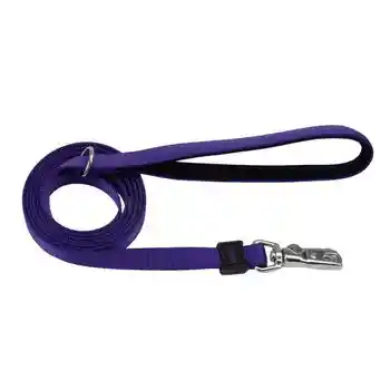 Leash, Purple, 5/8" X 06'
