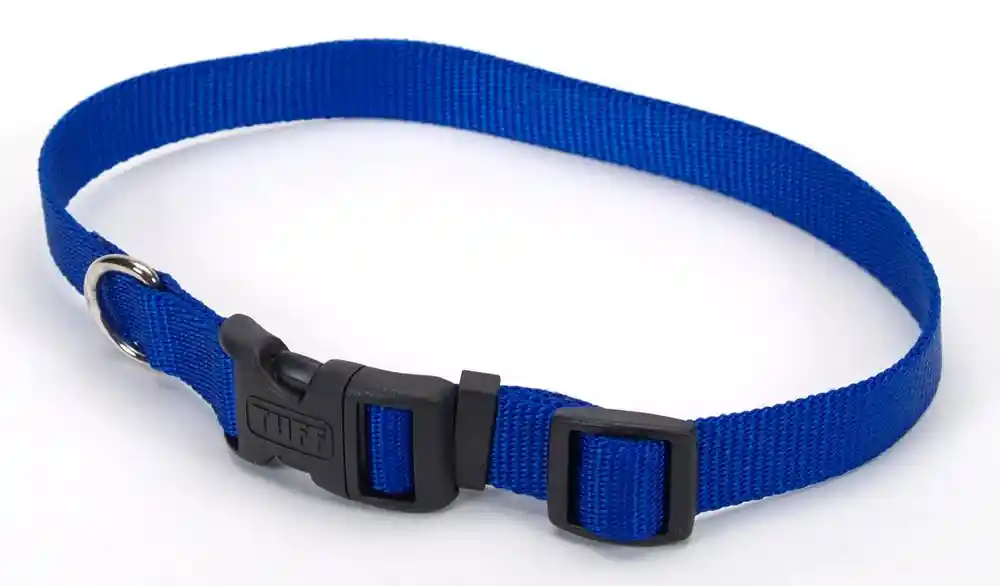 Adjustable Dog Collar With Plastic Buckle, Blue, 1" X 14" - 20"