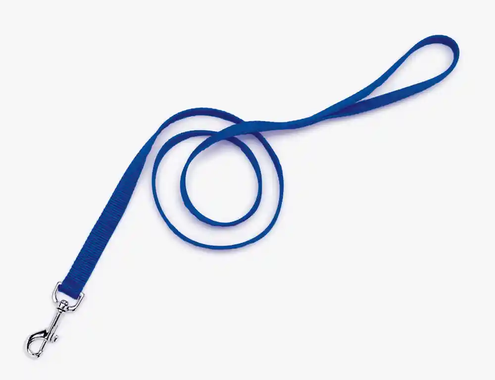 Single-ply Dog Leash, Blue, 1" X 06'