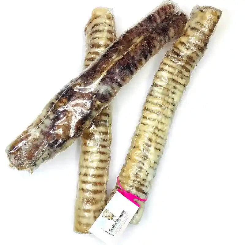 Nf Gullet Wrapped Trachea 12"