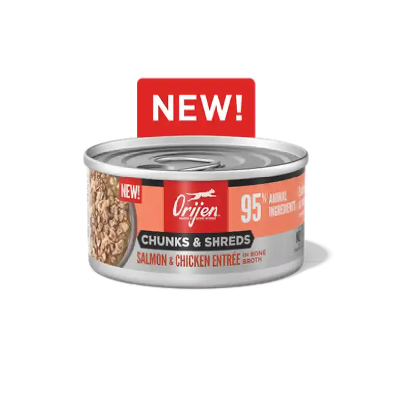 Orijen Cat Chunks Shreds Salmon Chicken Can 3oz 12/cs 2cs=mc