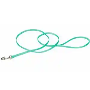 Single-ply Dog Leash, Teal, 3/8" X 6'