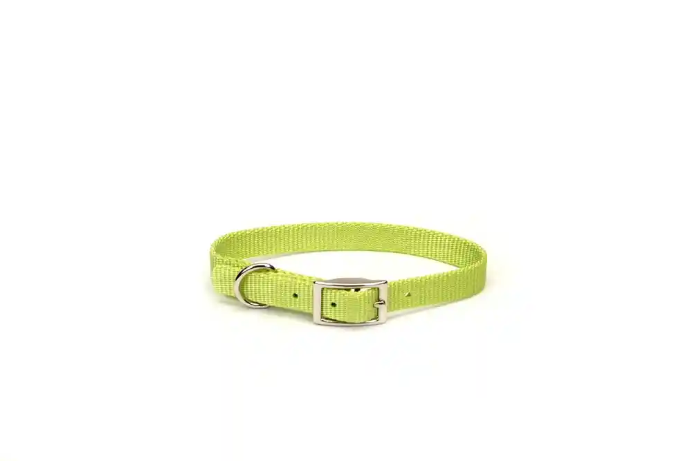 Single-ply Dog Collar, Lime, 5/8" X 16"