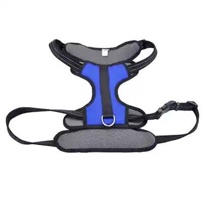 Reflective Control Handle Harness, Blue, Girth: 30"-43" X Neck: 21"-33"