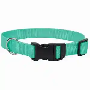 Adjustable Dog Collar With Plastic Buckle, Teal, 5/8" X 10"-14"