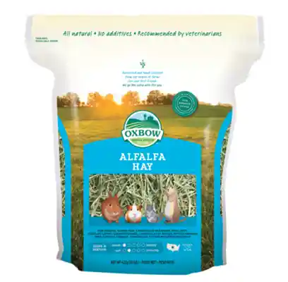 Alfalfa Hay - 15oz