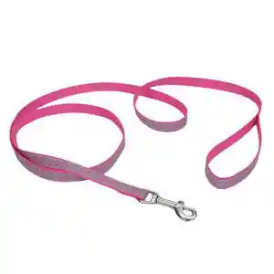 Reflective Open-design Dog Leash, Pink Zebra, 5/8" X 06'