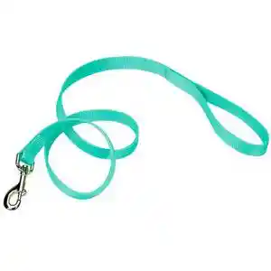 Single-ply Dog Leash, Teal, 1" X 06'