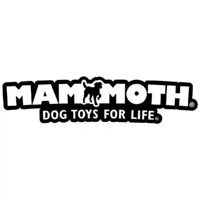 Image Alternative Text