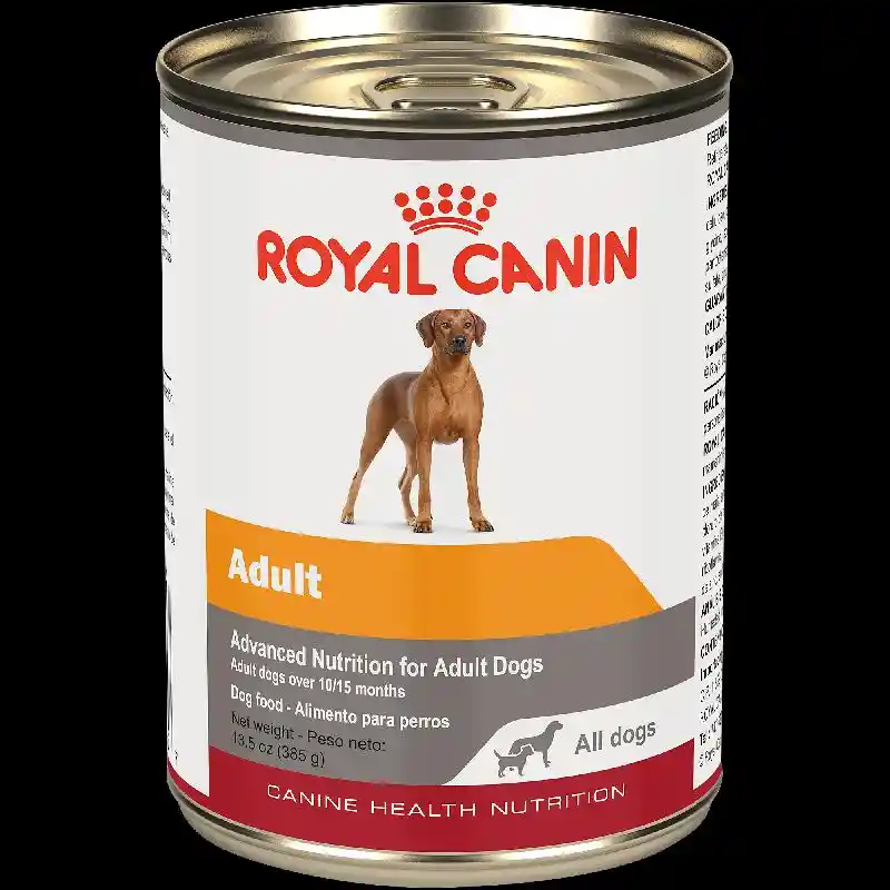 Royal Canin Adult In Gel Canned Dog Food, 13.5 oz
