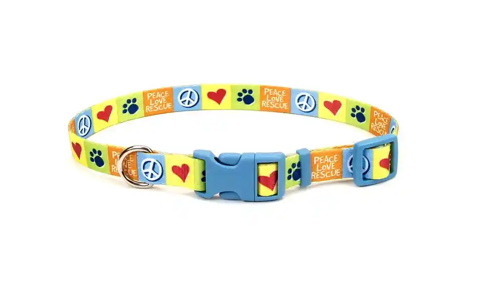 Adjustable Dog Collar, Resolve, 1" X 18"-26"