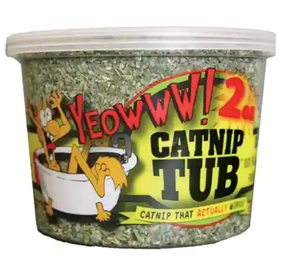 Organic Catnip Tub 2-oz