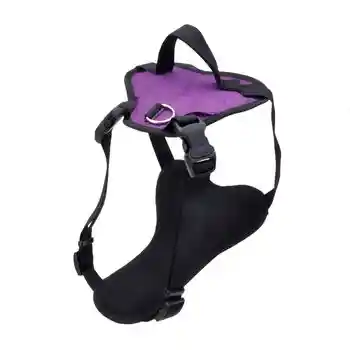 Harness, Purple, 1" X 30"-43"